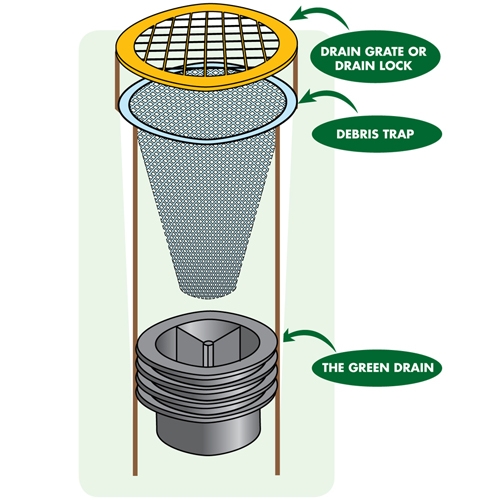 green drain diagram