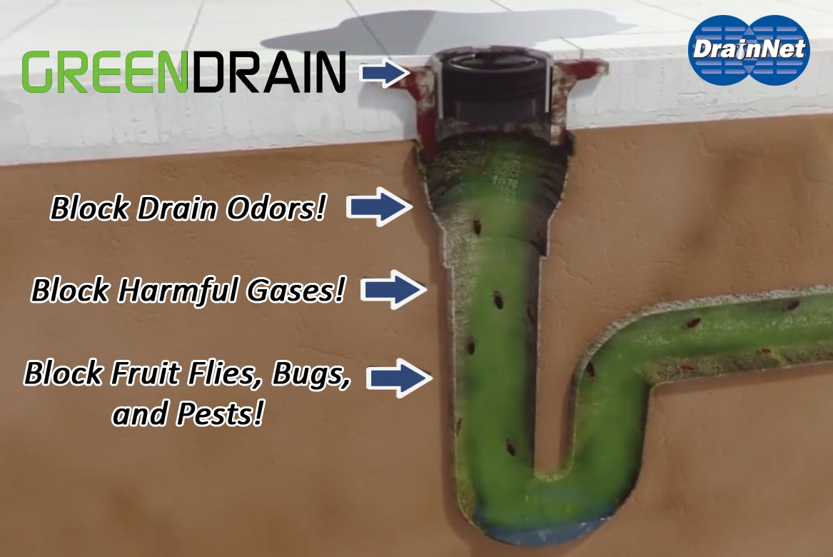 green_drain_side_view Green Drain 3.5" | Drain-Net liquid breakers & odor blockers - Drain-Net