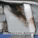 Ice Machine Before