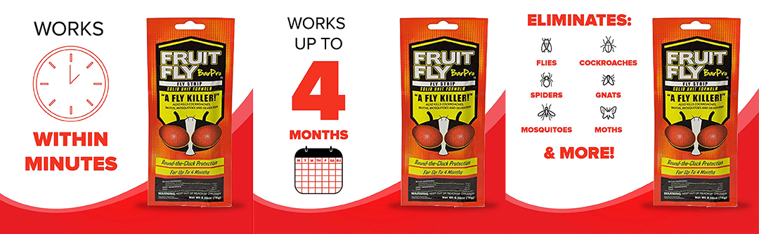 Fruit Fly BarPro eliminates flies spiders mosquitoes cockroaches