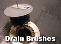 drain brushes