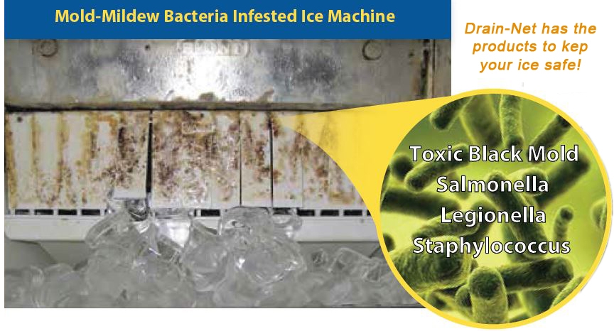 black mold in ice machine