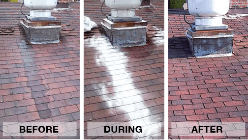 get rid of rooftop grease