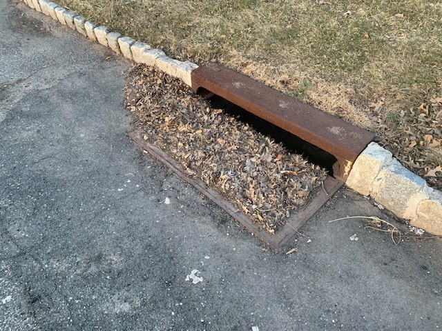 stormwater drain filtration