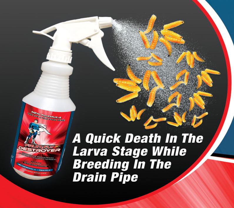 Fruit Fly Destroyer that kills them in the larva stage in the