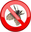 no_fruit_flies How to get rid of fruit flies in your kitchen