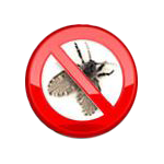 no_fruit_flies Keep facilities clean and green against fruit flies, mold, pests and odors - Drain-Net
