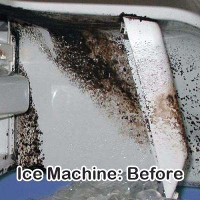 Ice Machine Before - Mold