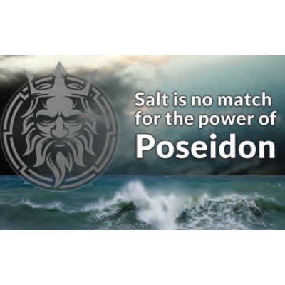 poseidon_stainless_steel_adjustable_drain_guard_image