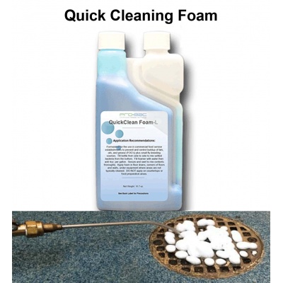 quick clean foam - drain cleaning and fruit fly prevention